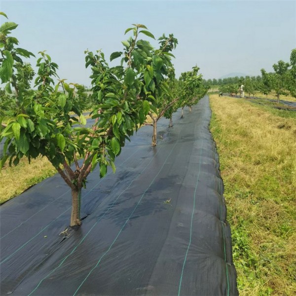 果树专用防草布