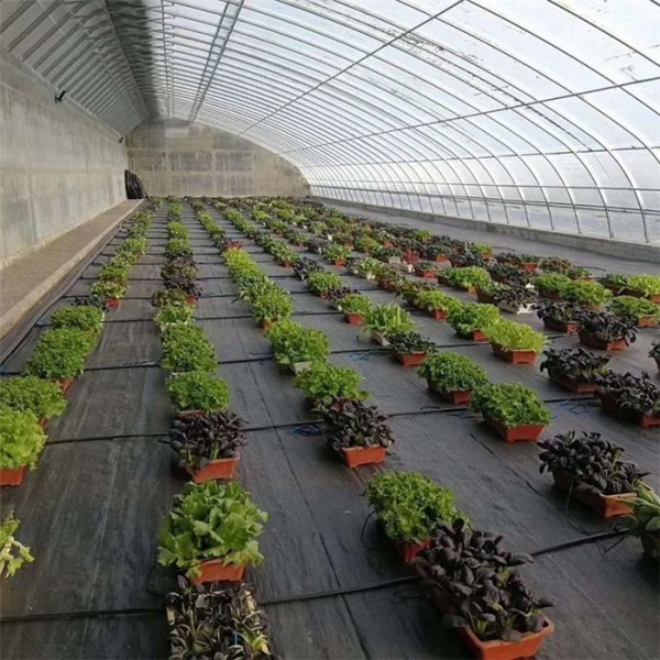 大棚专用防草布