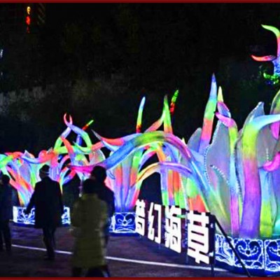 彩灯灯会